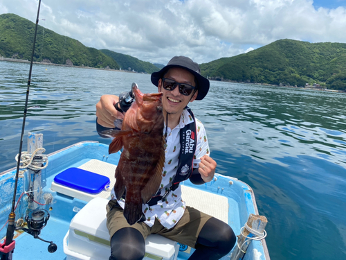 マハタの釣果