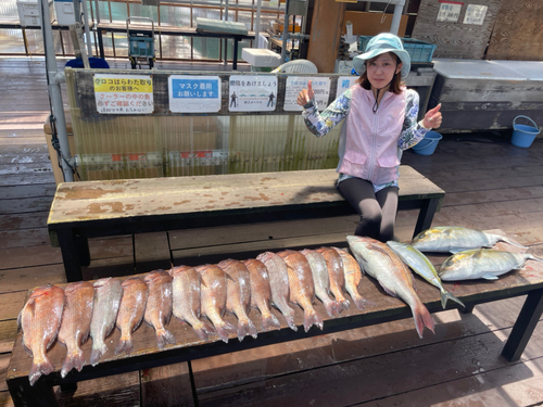 マダイの釣果