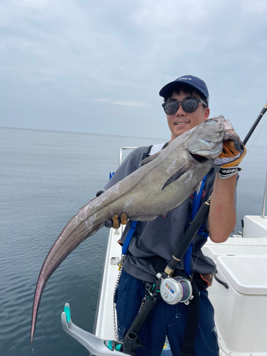 ムネダラの釣果