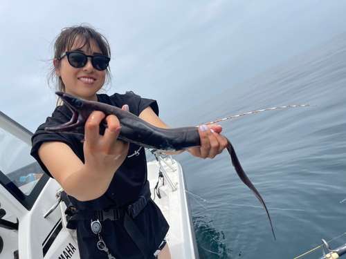 アナゴの釣果