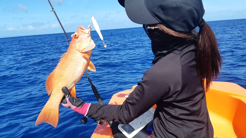 アカジンミーバイの釣果