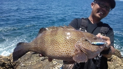 オオモンハタの釣果