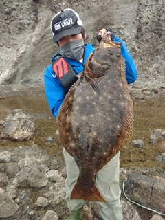 ヒラメの釣果