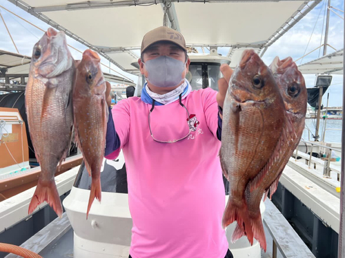 タイの釣果