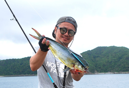 シイラの釣果