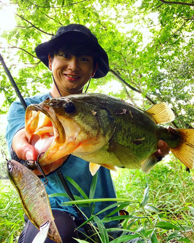 ブラックバスの釣果