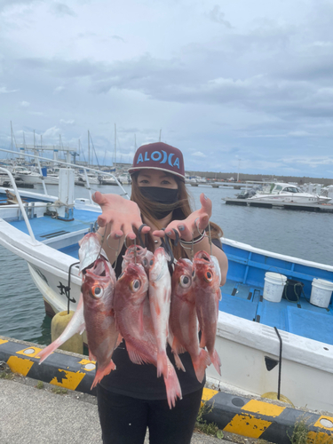 アカムツの釣果