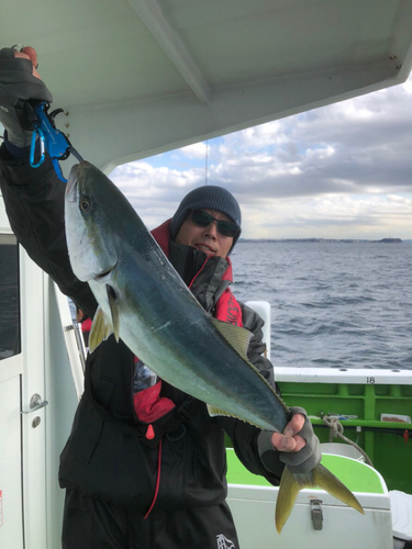 イナダの釣果