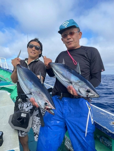 カツオの釣果