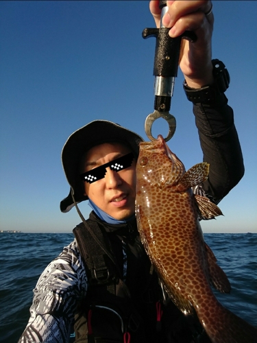 オオモンハタの釣果