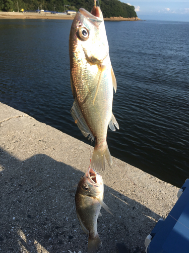 釣果