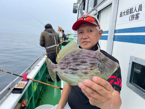 カワハギの釣果