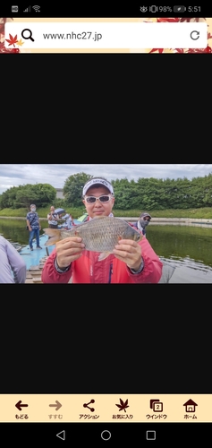 ヘラブナの釣果