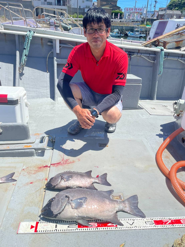 イシダイの釣果