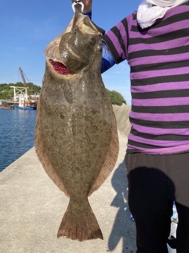 ヒラメの釣果