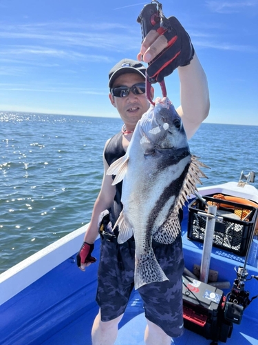 コショウダイの釣果