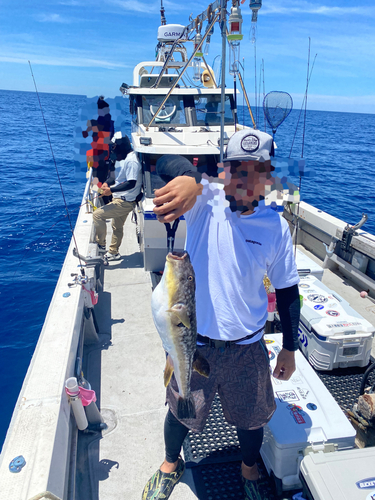 レンコダイの釣果