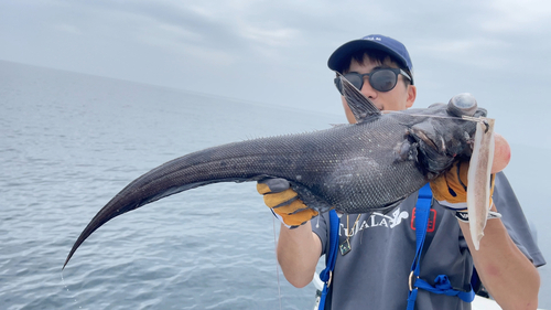 イバラヒゲの釣果