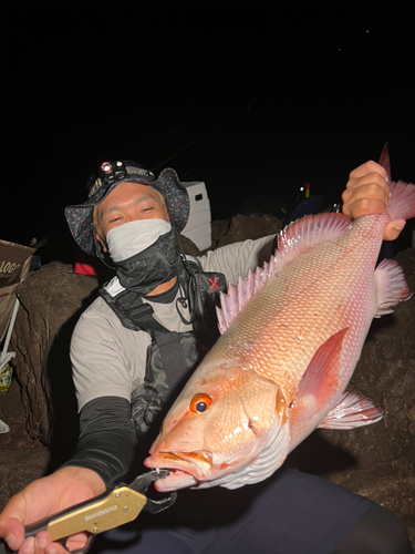 バラフエダイの釣果