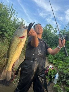 ラージマウスバスの釣果