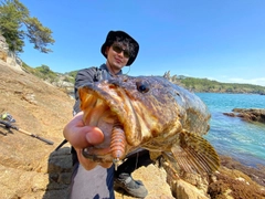 ベッコウゾイの釣果