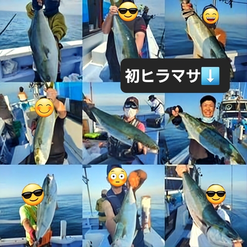 ヒラマサの釣果