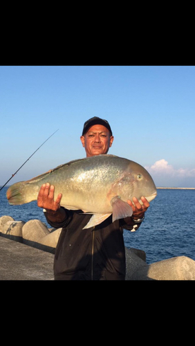 マクブの釣果