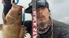 オオモンハタの釣果