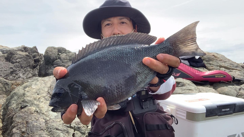 クロの釣果