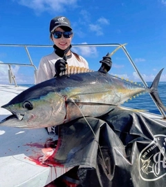 キハダマグロの釣果