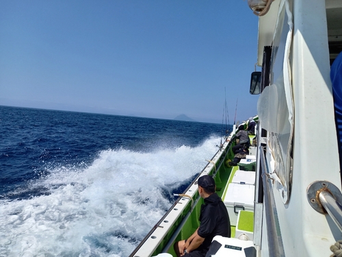 イワシの釣果