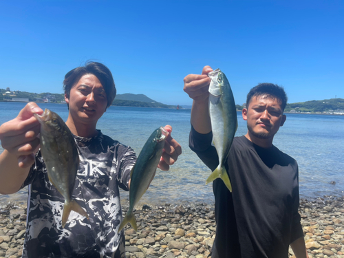 イナダの釣果