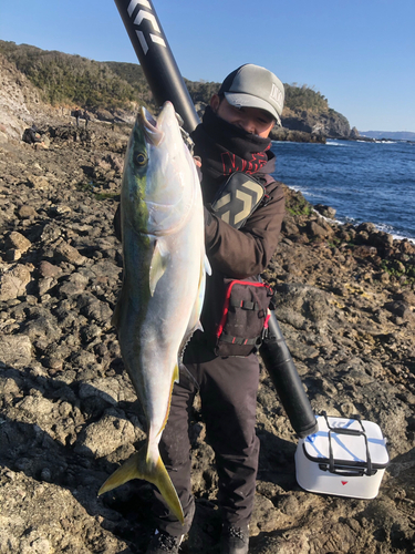 ワラサの釣果