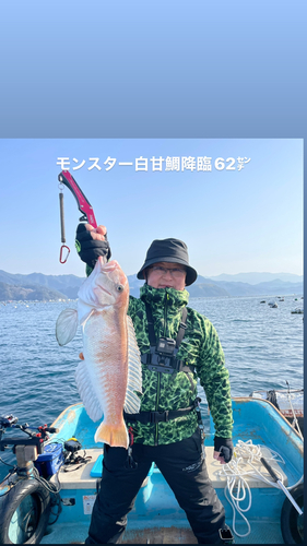 シロアマダイの釣果