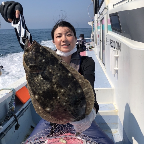 ヒラメの釣果