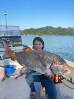 マダイの釣果