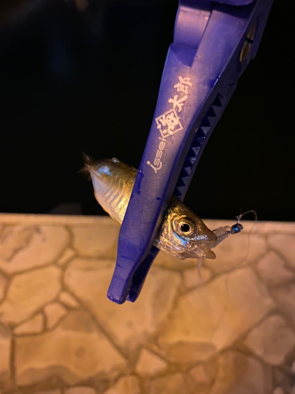 アジ