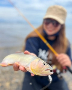 ケタバスの釣果