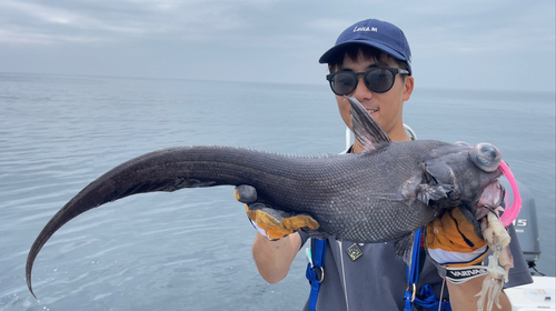 イバラヒゲの釣果