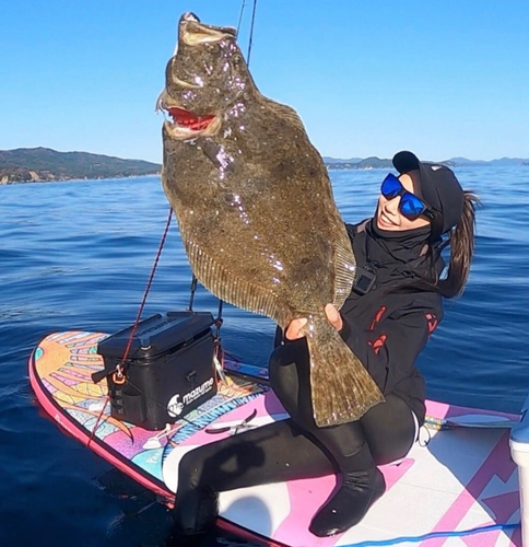 ヒラメの釣果