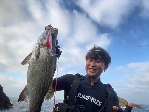 ヒラスズキの釣果