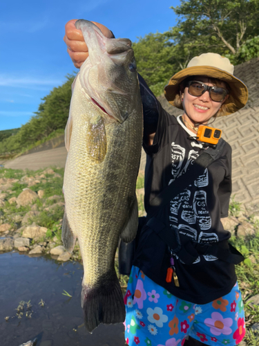 ブラックバスの釣果