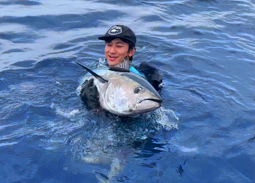 クロマグロの釣果