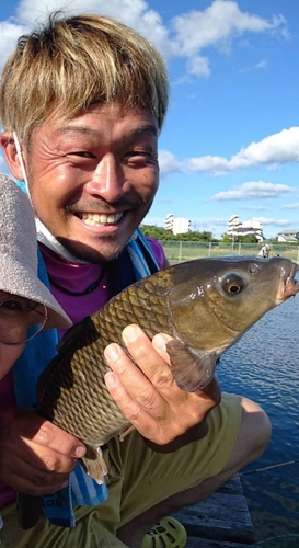 コイの釣果