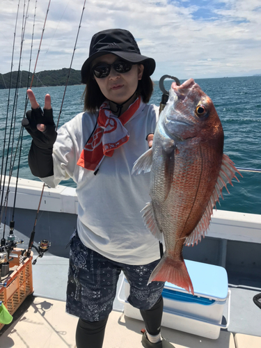 マダイの釣果