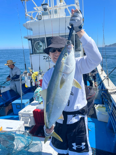 メジロの釣果