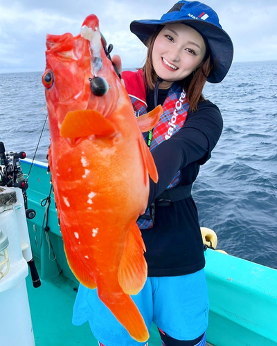 アカハタの釣果