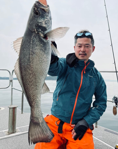 クログチの釣果