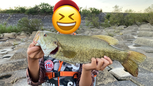 スモールマウスバスの釣果