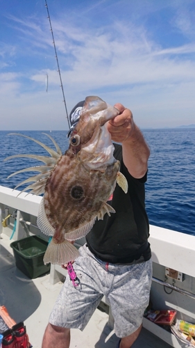 マトウダイの釣果